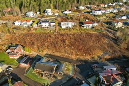 Bild av närområdet