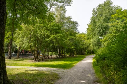 Bild av närområdet