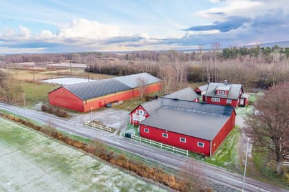 Bild av närområdet