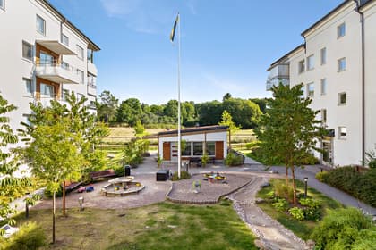 Bild av närområdet