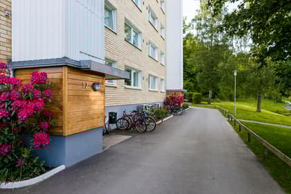 Bild av närområdet