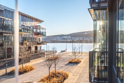 Bild av närområdet