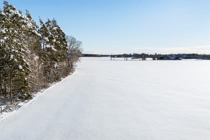 Bild av närområdet