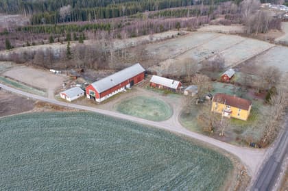 Bild av närområdet