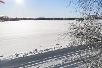 Illustrerad karta över fastigheten eller området