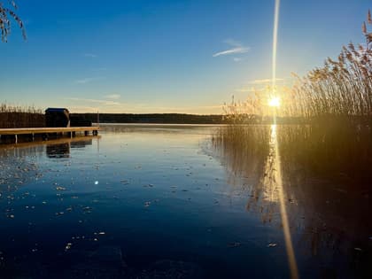 Bild av närområdet