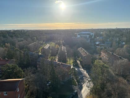 Bild av närområdet