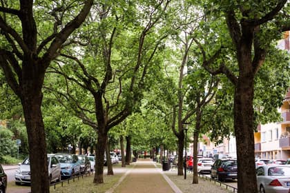 Bild av närområdet