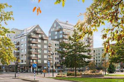 Bild av närområdet