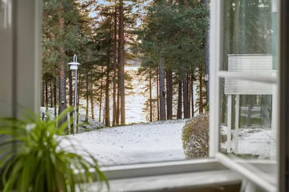 Bild av närområdet