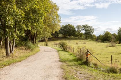 Bild av närområdet