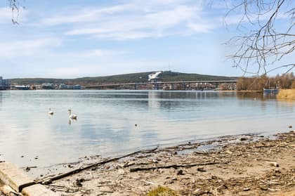 Bild av närområdet