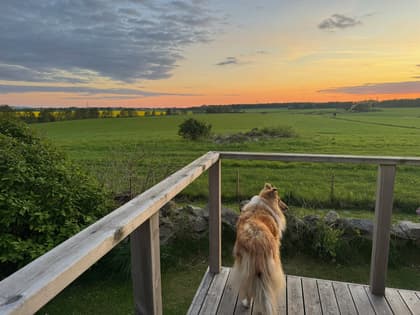 Balkong eller utsiktsbild