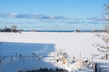 Bild av närområdet