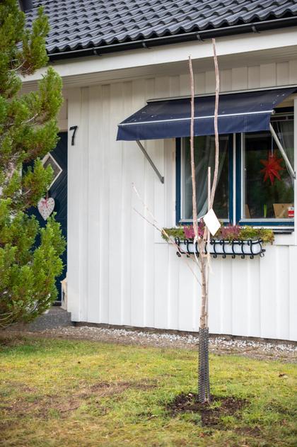 Exteriörbild
