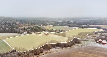 Bild av närområdet