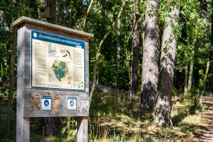 Bild av närområdet