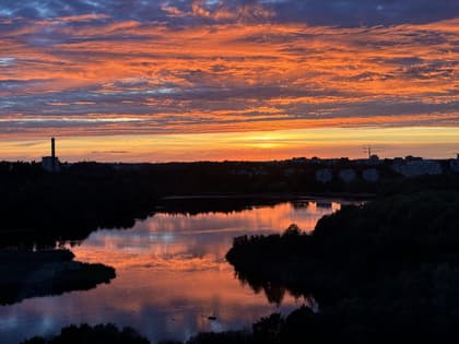 Bild av närområdet