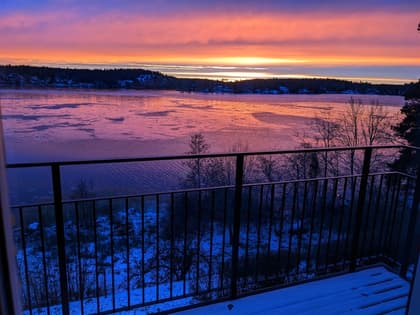 Bild av närområdet