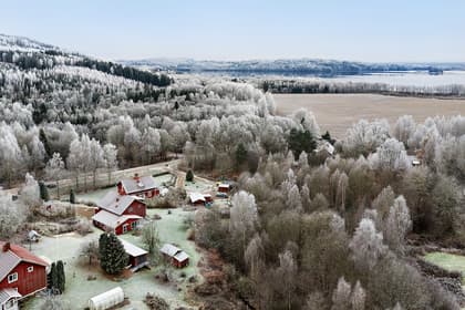 Bild av närområdet