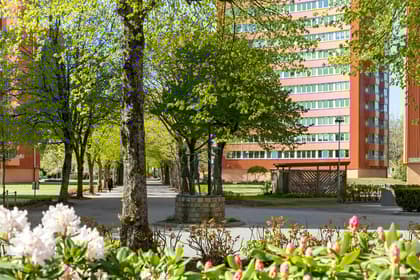 Bild av närområdet