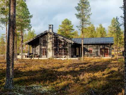 Bild av närområdet