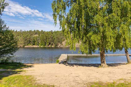 Bild av närområdet