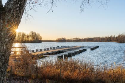 Bild av närområdet