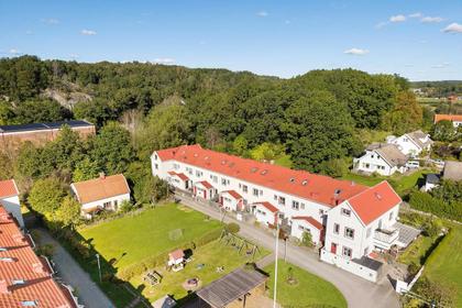 Bild av närområdet