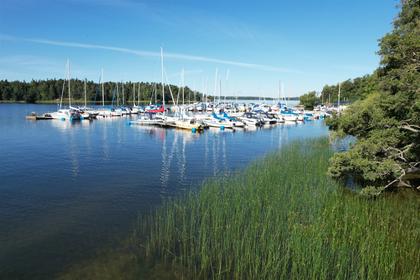 Bild av närområdet