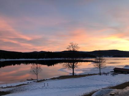 Bild av närområdet