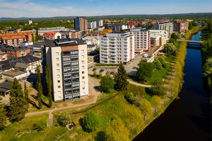 Bild av närområdet