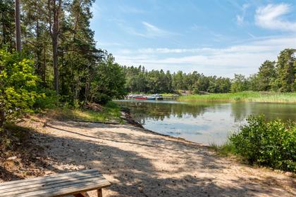 Bild av närområdet