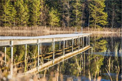 Bild av närområdet