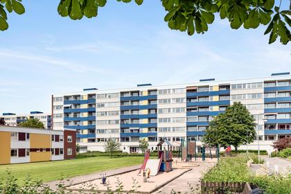 Bild av närområdet