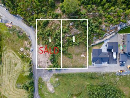 Bild av närområdet