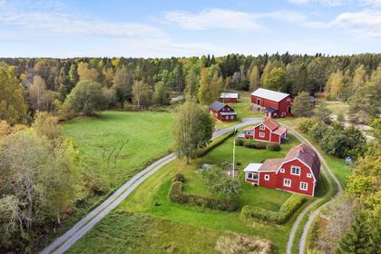 Bild av närområdet