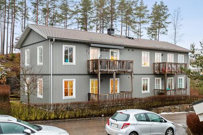 Skogskullegatan 19, Stadsskogen