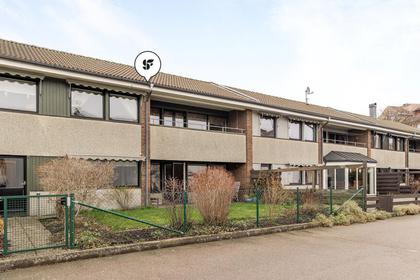 Felix gränd 6, Centrum