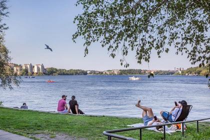 Bild av närområdet