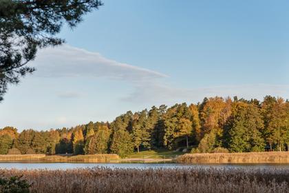 Bild av närområdet