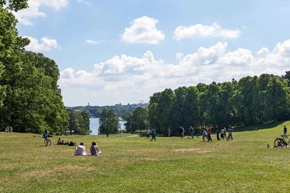 Bild av närområdet