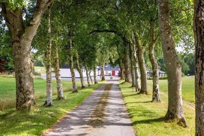 Bild av närområdet