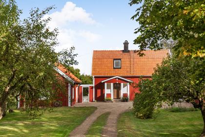 Bild av närområdet