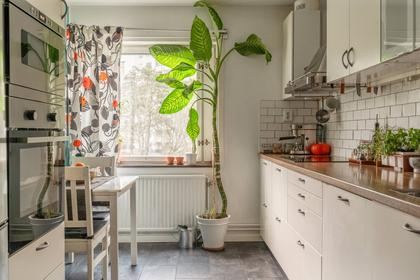 Stjärnsundsgatan 29, Ormkärr