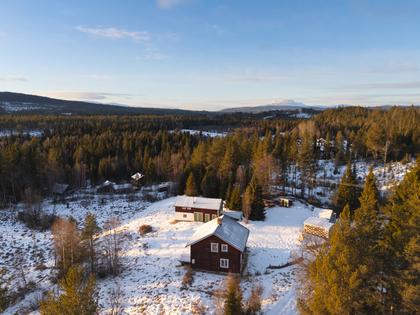 Bild av närområdet