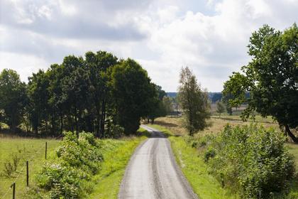 Bild av närområdet