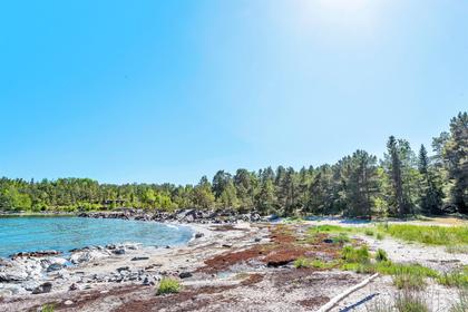 Bild av närområdet