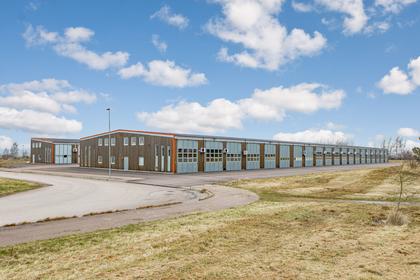 Bild av närområdet