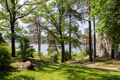 Bild av närområdet